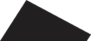 Quintex brand shape